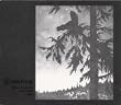 Where at Night the Wood Grouse Plays