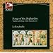 40 Masterpieces of Extra-Repertoire Classical Music