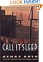 Call It Sleep