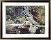 Adirondack Guide Framed Art Poster Print by Winslow Homer, 38x29