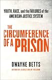 The Circumference of a Prison: Youth, Race, and the Failures of the American Justice System