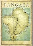 Pangaea : new art from Africa and Latin America
