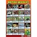 British Wildlife Poster 40x60cm