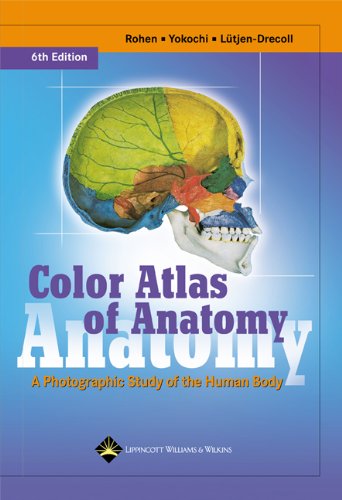 image of Color Atlas of Anatomy: A Photographic Study of the Human Body (Color Atlas of Anatomy (Rohen))