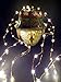 Starry Lights With Remote Control 20 Feet 120 LED Warm White Dimmable String Light. Lights Blink or Fade. Fairy or Flashing Effects.
