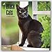 Black Cats 2017 Calendar