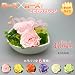�v���U�[�u�h�t�����[�M�t�g�u���[�Y�~���[�Y�̂������A�����W Pair of Roses�^�v�����Z�X�s���N�v���j���E�v���[���g��
