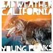 Bad Weather California (on tour)