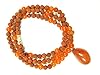 Carnelian Svadhisthana Sacral Chakra Rudraksha Meditation Mala 108+1 Beads