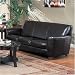 Havana Bycast Leather Sofa By Coaster Furniture With Silver Shipping