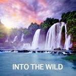 Wild Celtic Music - Celtic Arp Music...