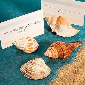 Click to buy Maine Wedding Venues: Natural Selections Collection Shell Design Place Card Holders from Amazon!