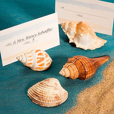 Natural Selections Collection shell design place card holders, 192 On Sale
