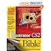 Illustrator CS2 Bible