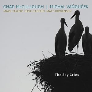 Chad McCullough / Michal Vanoucek - The Sky Cries cover