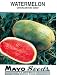 WATERMELON CHARLESTON GREY - 1/2 OZ