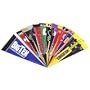 Big 10 Conference Mini Pennant Set