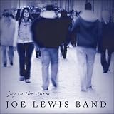 Joe Lewis Band Joy In The Storm