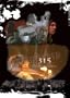 Strength DVD Vol. 1: 315 Hidden Gems