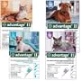 Advantage Flea Preventative 4pk Dog Teal 11-20 Lbs