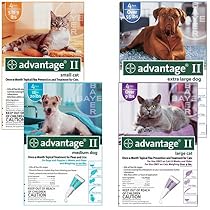 Buy Advantage KP04V6V Advantage Flea Preventative 6pk Dog Teal 11-20 Lbs