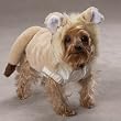 Casual Canine Lil' Lion Costume - Large