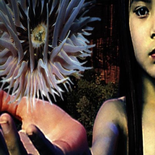 Produkt-Bild: Lifeforms