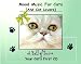 Mood Music For Cats (And Cat Lovers) - A Ball of Twine