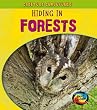 Hiding in Forests (Young Explorer: Creature Camouflage)