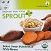Sprout Organic Baby Food, Baked Sweet Potatoes & White Beans, 3.5-Ounce Pouches (Pack of 12)