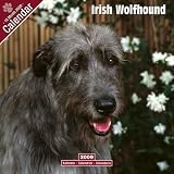 Eigenschaften Avonside Publishing Ltd.  / Kalender 2009 Irish Wolfhound - Irischer Wolfshund
