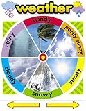 Chart Weather 17 X 22 Gr Pk-2