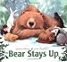 Bear Stays Up