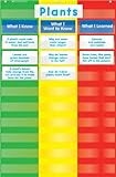 Scholastic Teacher's Friend 3-Column Chart Pocket Chart, Multiple Colors (TF5114)