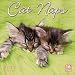 Cat Naps 2012 Wall (calendar)