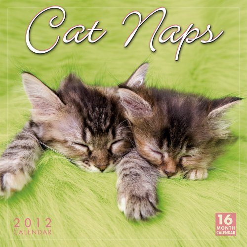 Cat Naps 2012 Wall (calendar)