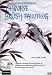 DVD : An Introduction to Chinese Brush Painting