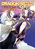 DRAGON SISTER-三國志-百花繚乱(4) (BLADE COMICS)