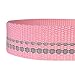 Blueberry Pet 3M Reflective Pastel Color Dog Leash with Soft & Comfortable Handle, 5 ft x 5/8