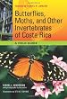 Butterflies, Moths, and Other Invertebrates of Costa Rica: A Field Guide (The Corrie Herring Hooks Series)