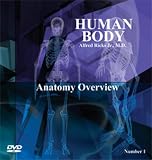 Human Body - Anatomy Overview