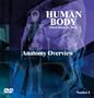 Human Body - Anatomy Overview