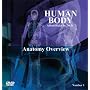 Human Body - Anatomy Overview