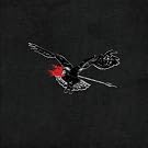 Vinyl Collection [Vinyl LP]