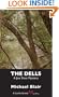 The Dells: A Joe Shoe Mystery