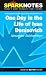 One Day in the Life (SparkNotes Literature Guide) (SparkNotes Literature Guide)