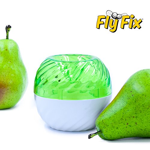 FlyFix Fruit Fly Trap (Reusable) (1, Green/White) FlyFix Fruit Fly Trap (Reusable) (1, Green/White)