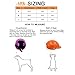 Lifeunion Funny Cool Pet Doggie Cap Hat for Sun Rain Protection,Great Birthday for Small Medium Cats Dogs (S, Pink)