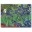 Irises - Gift Enclosure Cards (set of 12)