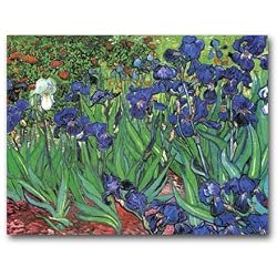 Irises - Thank You Gift Enclosure Cards (set of 12)